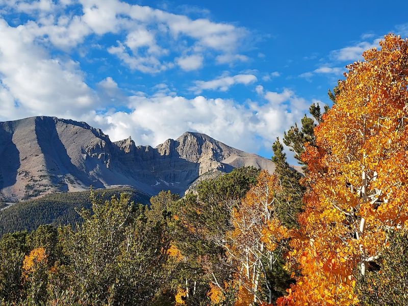 Why The Park Feels So Different From The Rest Of Nevada