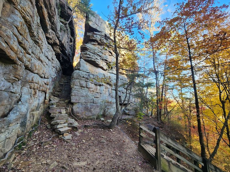 Savage Gulf, Grundy County