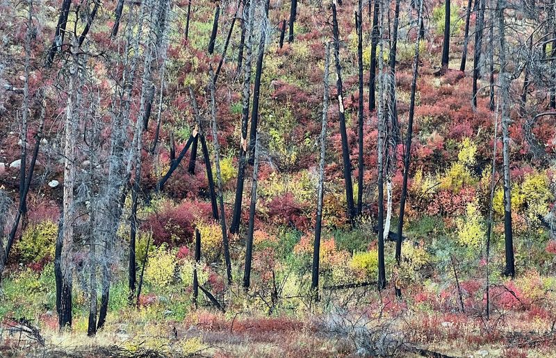 Hiking Trails Worth Every Step