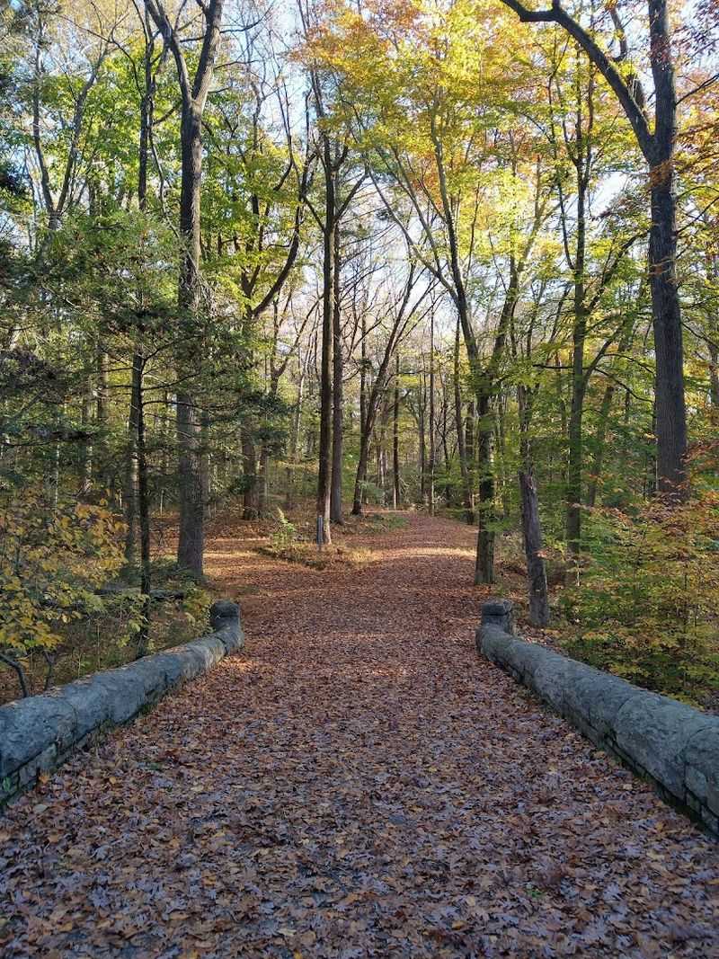 The Trails That Lead You There