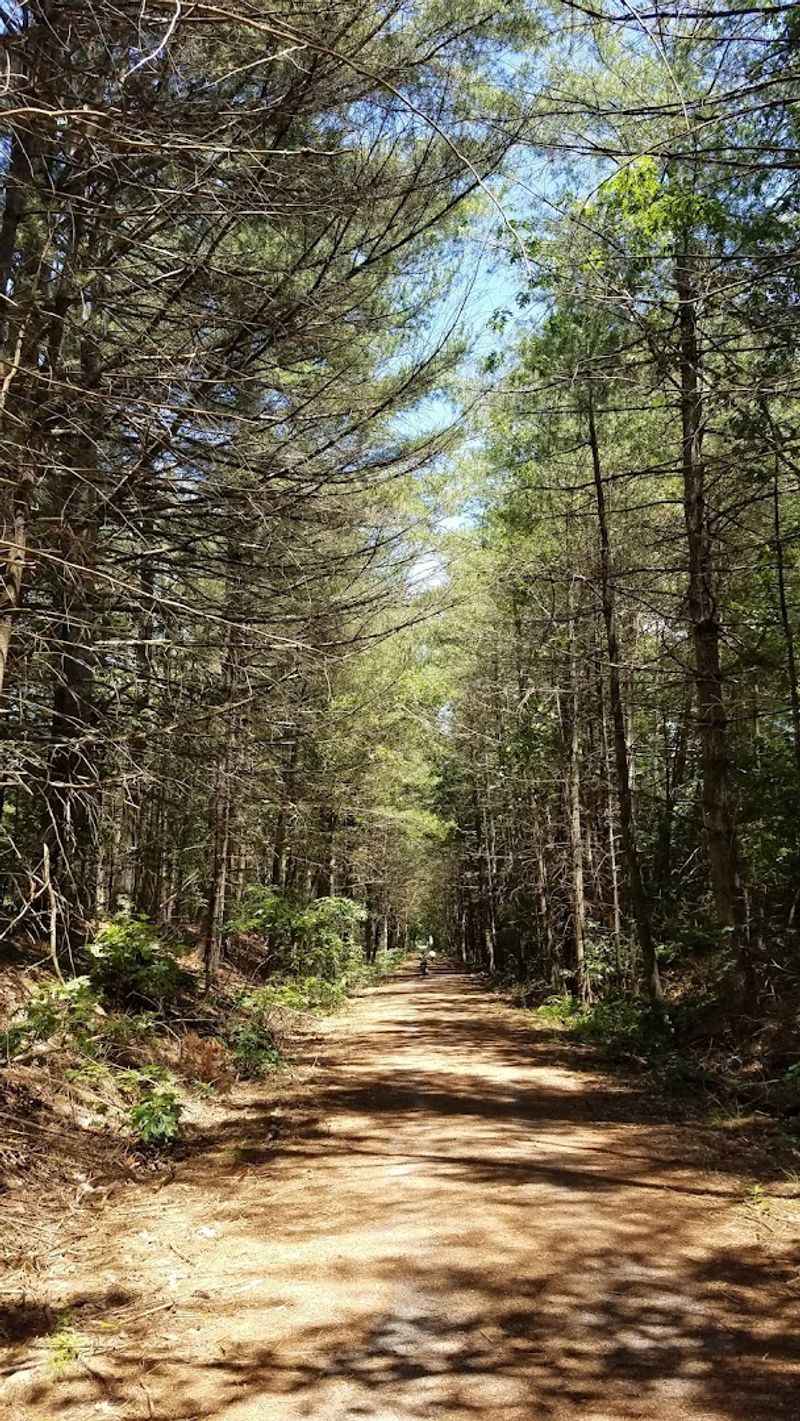 How This Trail Connects To A Much Larger Regional Network