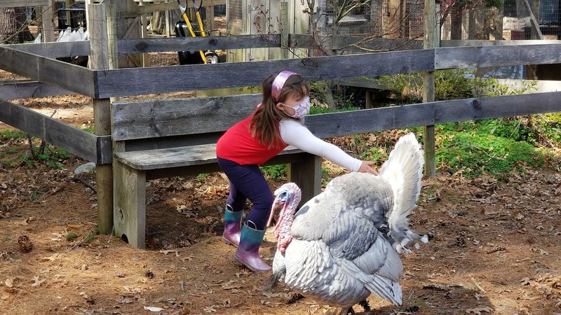 How To Support Winslow Farm Beyond Your Day Trip