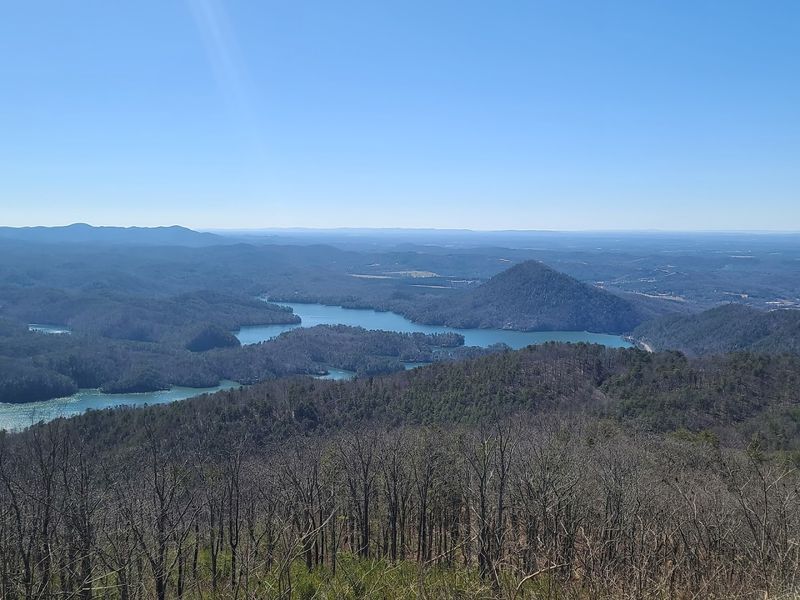 The Scenic Drive Along Tellico River Road That Builds The Anticipation