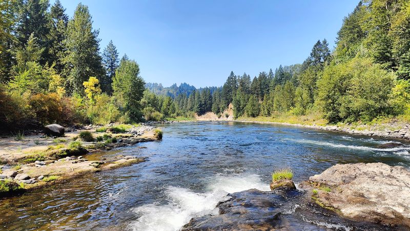Tranquil Hiking Trails For Stress Relief