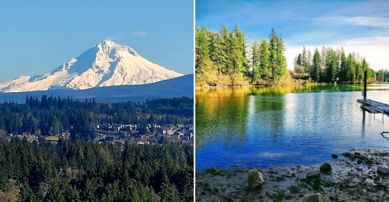 Why Visitors Say This Oregon State Park Is The Ultimate Stress Relief Destination