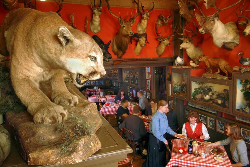 The Taxidermy Collection That Doubles As A Museum
