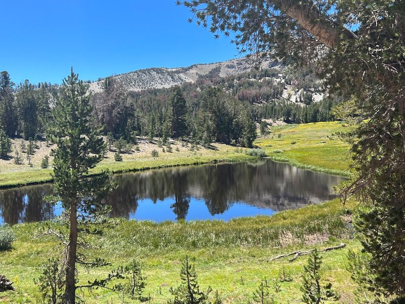 Tamarack Lake And Galena Canyon Add Drama To The Journey