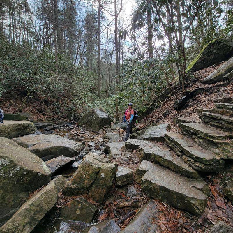 The Final Descent To The Falls Base Demands Careful Footing
