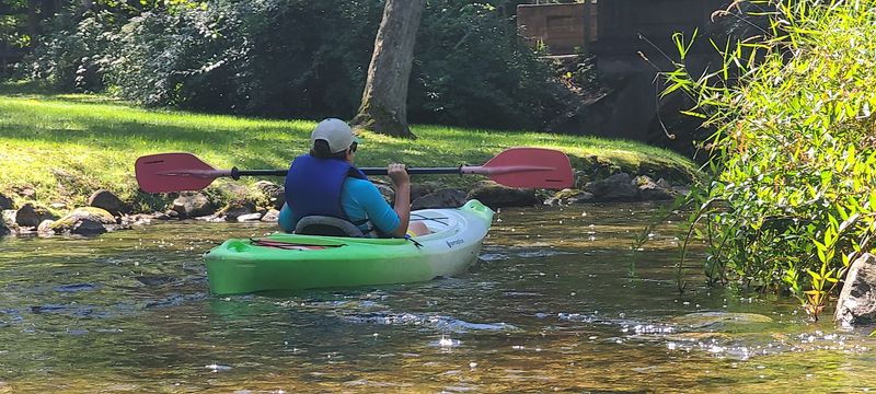 Navigating The Bends, Riffles, and Mild Rapids