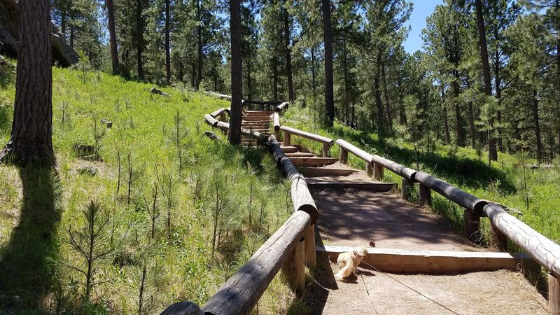 Trails, Bikes, Big Sky