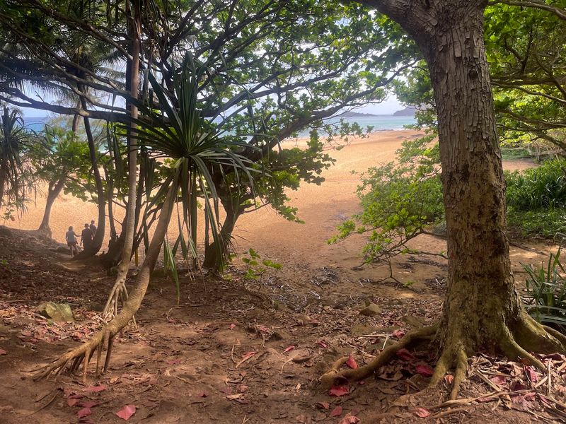 Trail Difficulty And What To Expect