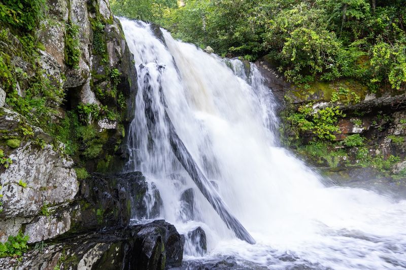 Abrams Falls: The Reward At The End Of The Path