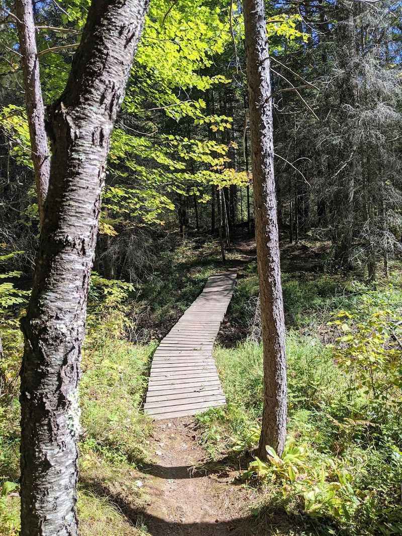 Mountain Bikers Can Follow Miles Of Rugged Northwoods Terrain