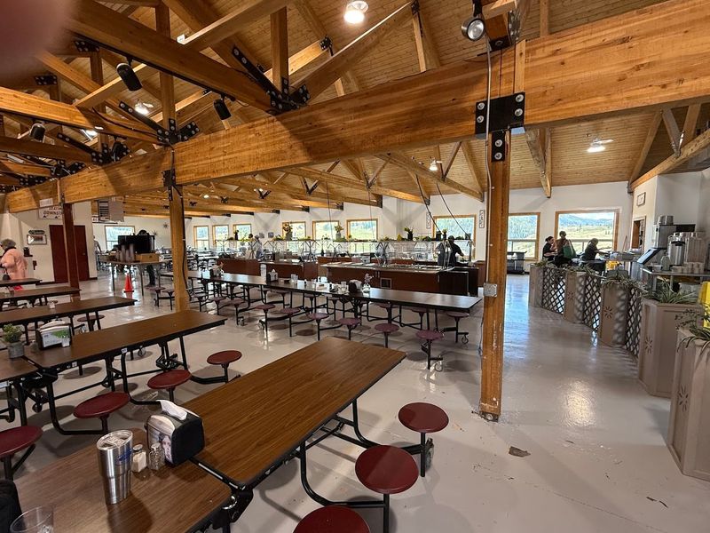 The Osier Lunch Stop That Earns Its Own Fans