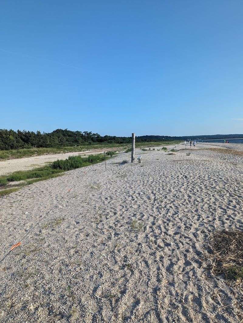 The Beach Trail You Did Not Know You Needed