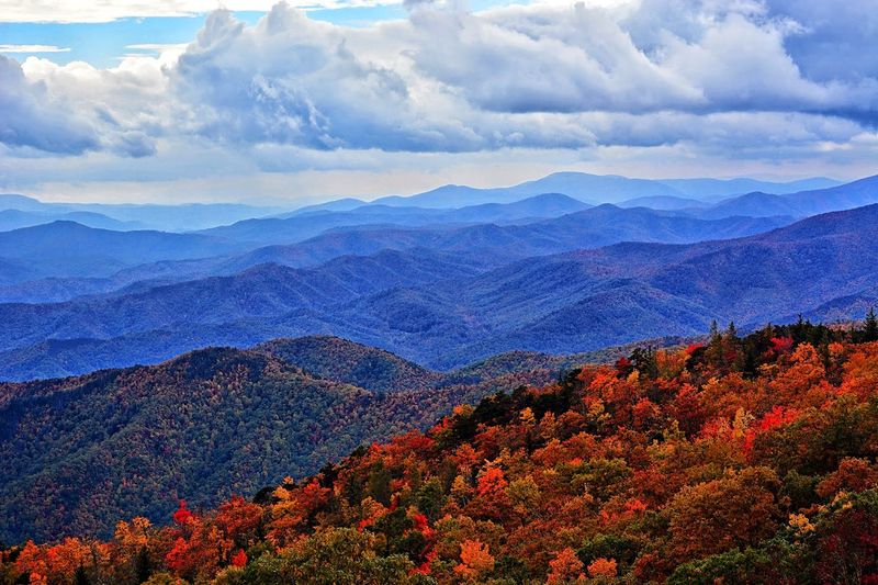 Relaxing Scenic Spots For Picnics