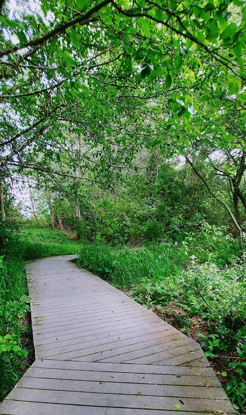 Boardwalk Trail