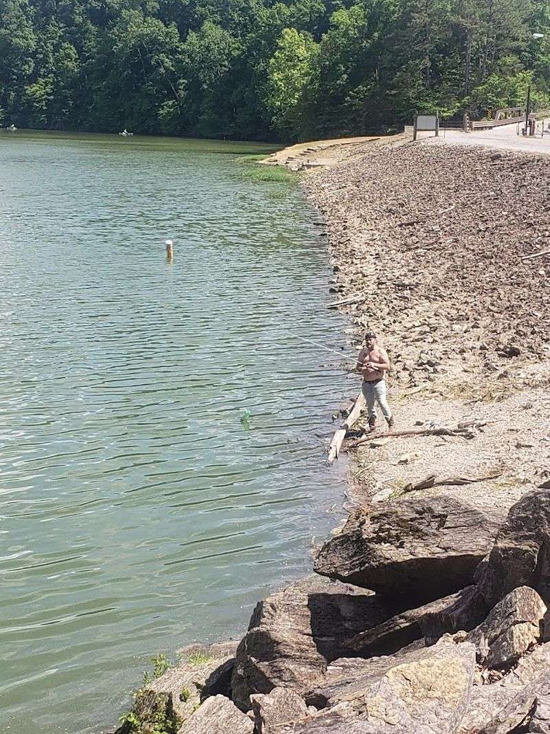 What Visitors Actually Say About A Day On The Water Here