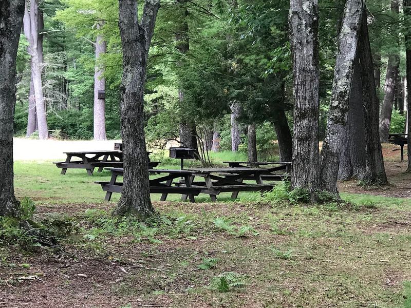 Picnicking By The Water With Grills, Tables, And No Particular Agenda