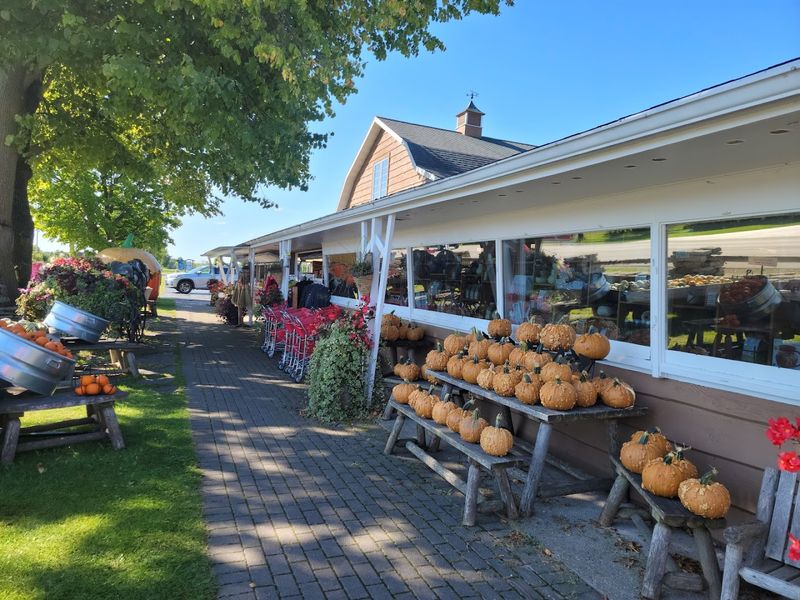 Seasonal Fruits And Vegetables Keep Each Visit Different