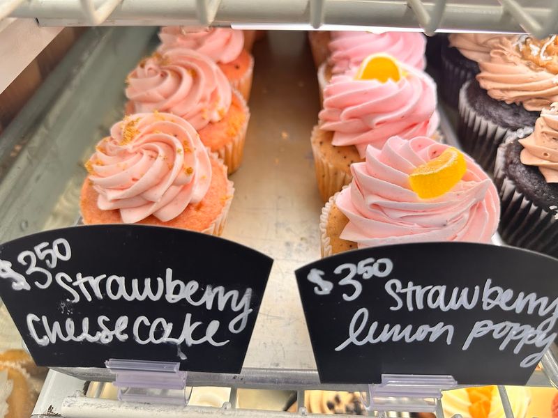 The Cupcake Case Changes With Fun Seasonal Flavors