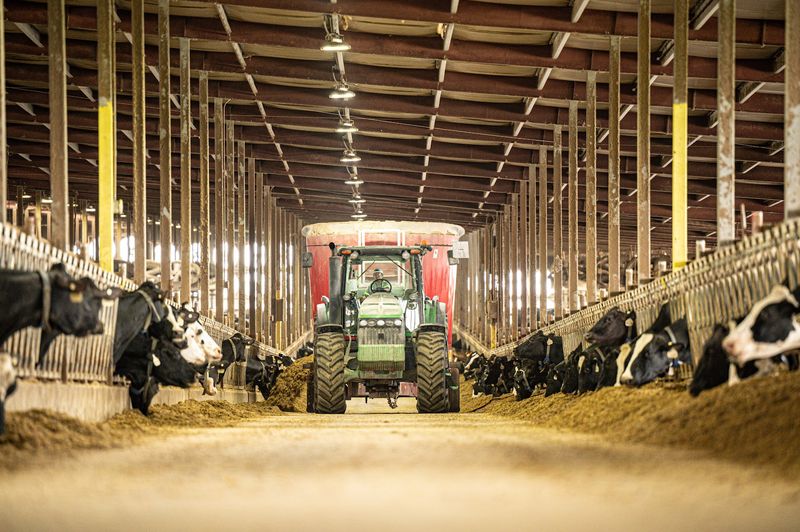 Pagel's Ponderosa Dairy Farm, Kewaunee