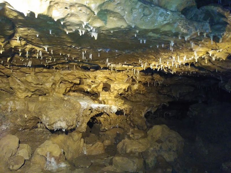 The Cave Dates Back To An Ancient Shallow Sea