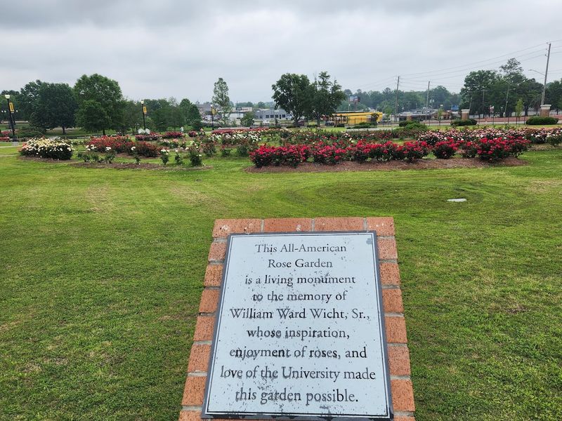 All-American Rose Garden At USM