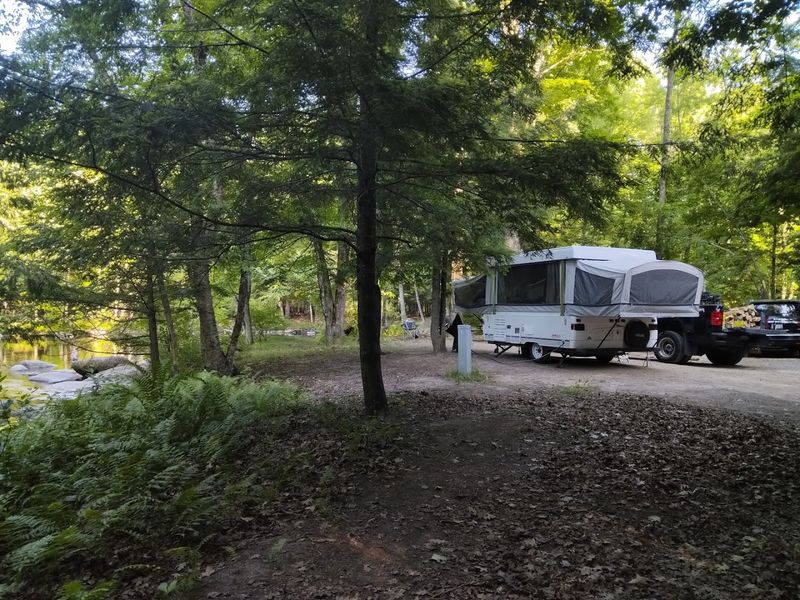 Electric And Non Electric Sites Give Campers Flexible Options