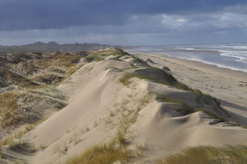 Oregon Dunes National Recreation Area