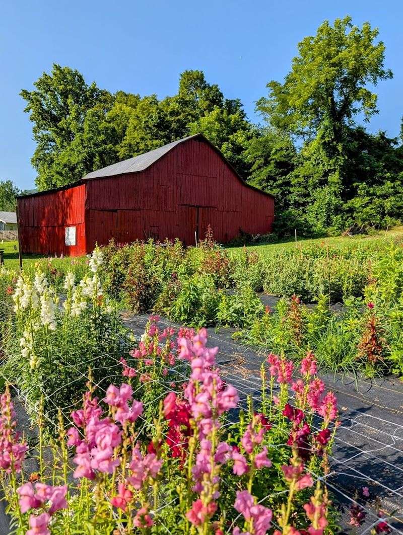 The Farm That Started It All In Johnson City