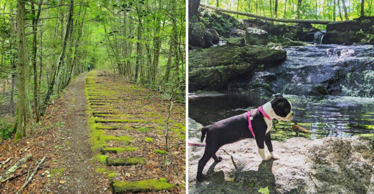 You Can’t Really Call Yourself A Massachusetts Nature Lover Until You’ve Visited These 10 State Parks
