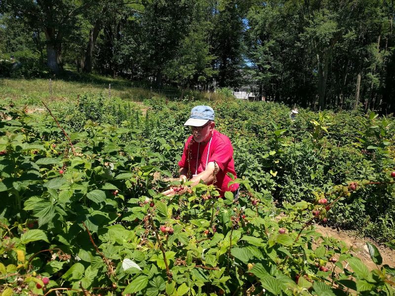 How To Prepare For Your Visit To The Fields