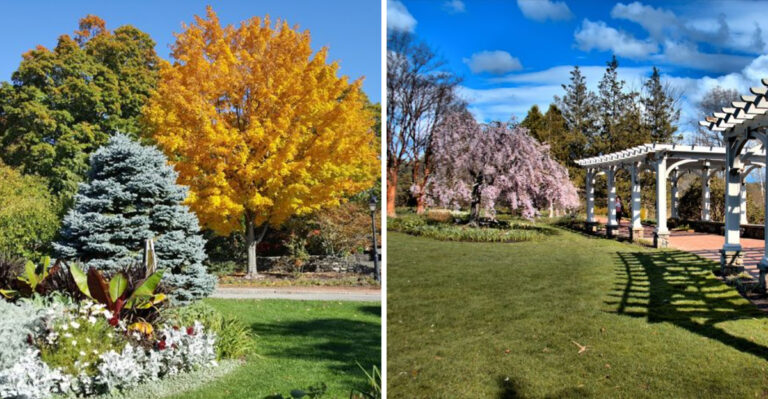 You’ll Feel Like You’ve Wandered Into Another World At This Dreamy Massachusetts Botanical Garden