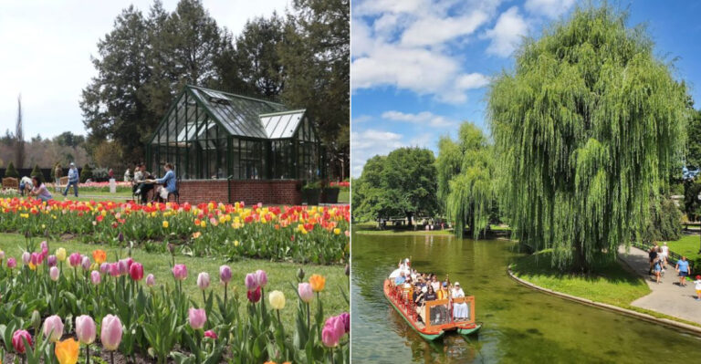 10 Affordable Massachusetts Day Trips That Make Summer More Fun