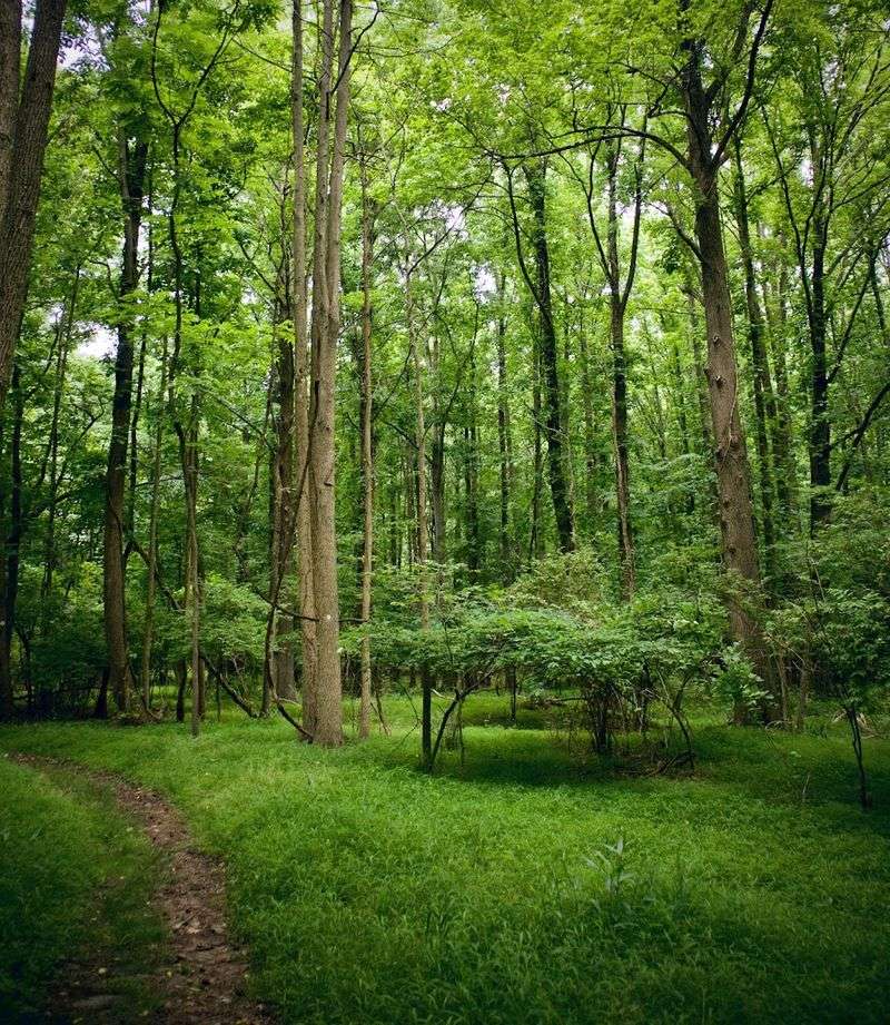 The Greenbelt, Staten Island