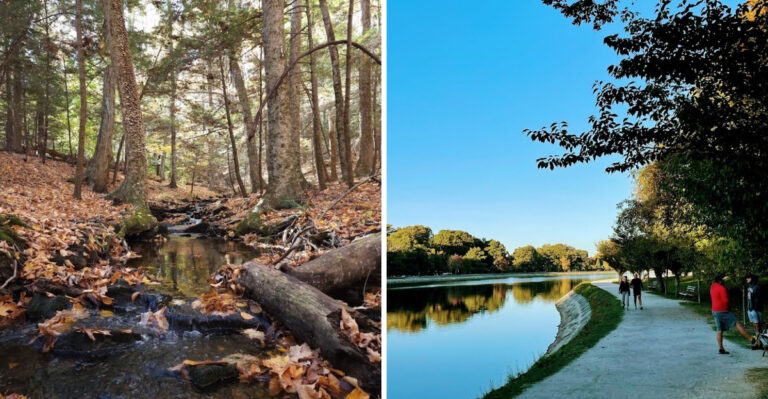 10 Massachusetts Areas Where Tick Encounters Are A Serious Summer Concern