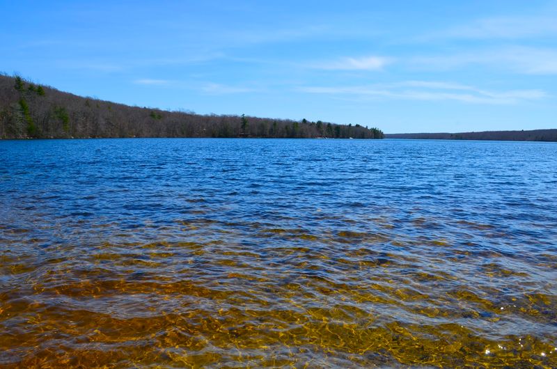 Wallum Lake, Douglas