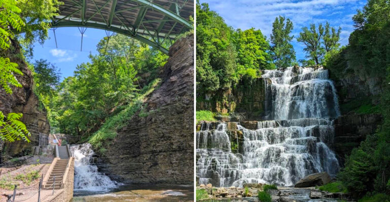 10 New York Gorges So Green Locals Say They Feel Like Another State