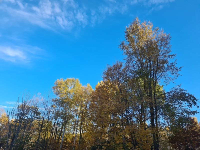 Gould Trailhead, Adams, Massachusetts