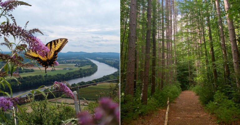 10 Stunning Massachusetts Day Hikes So Peaceful You’ll Forget Your Phone Exists