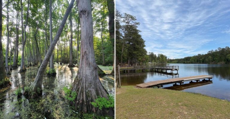 11 Mississippi Getaways And Destinations You Can Do In A Day Without The Stress In 2026