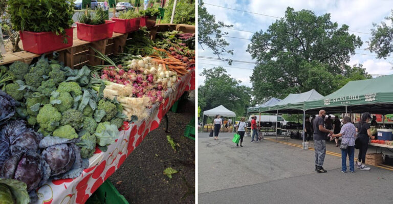 11 New Jersey Farmers Markets Where $15 Can Fill Your Tote With Fresh Produce