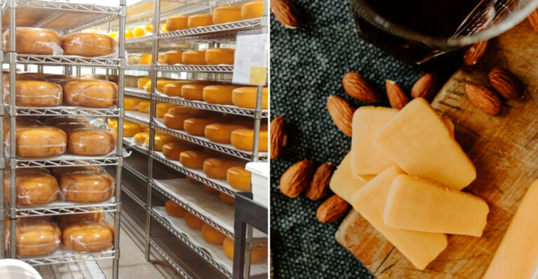 11 Wisconsin Cheese Factories With Windows You Can Watch Through
