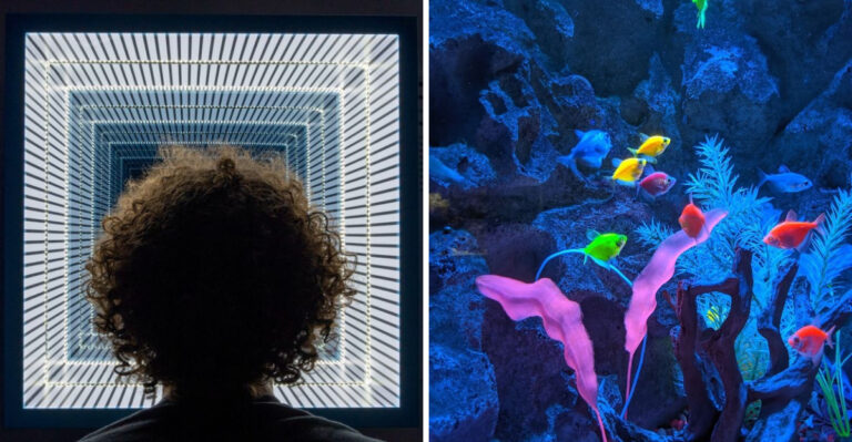 12 Absolutely Fun-Filled Places In Nevada To Take Restless Kids That Even Parents Will Enjoy