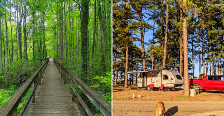 12 Beginner-Friendly Hikes In Mississippi You Have To Tackle This Year