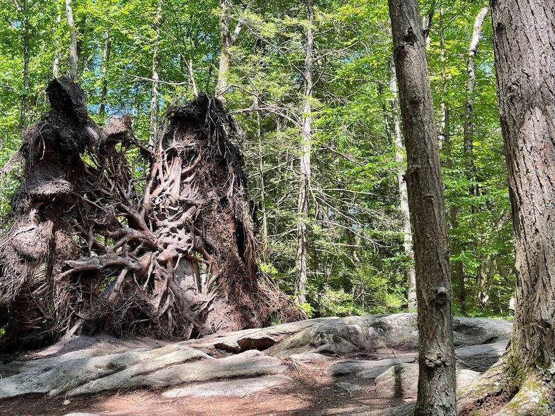 Purgatory Chasm State Reservation