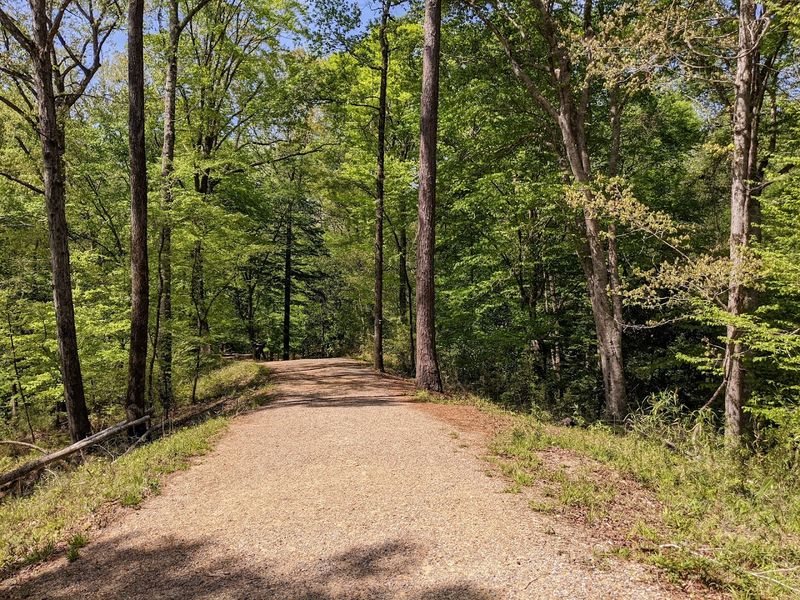 Clark Creek Natural Area