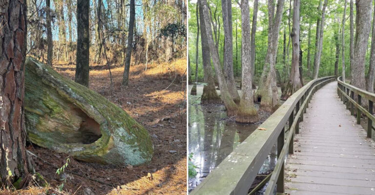 12 Mississippi Day Trips Where Parking and Admission Cost No More Than $15
