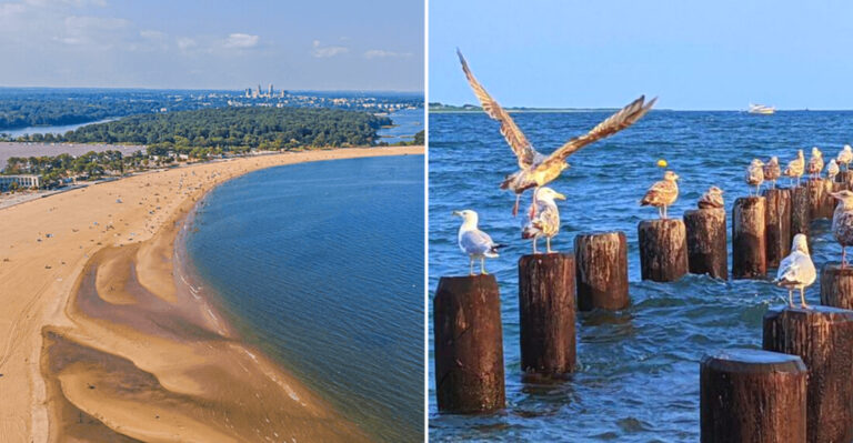 12 New York Beaches With Shade Showers And Food Within Walking Distance